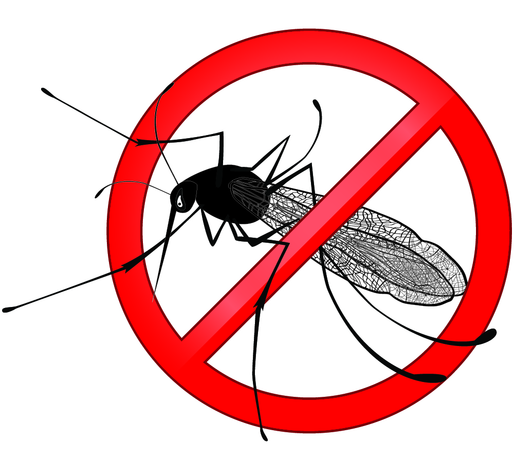 Zika No Mosquito 1.jpg
